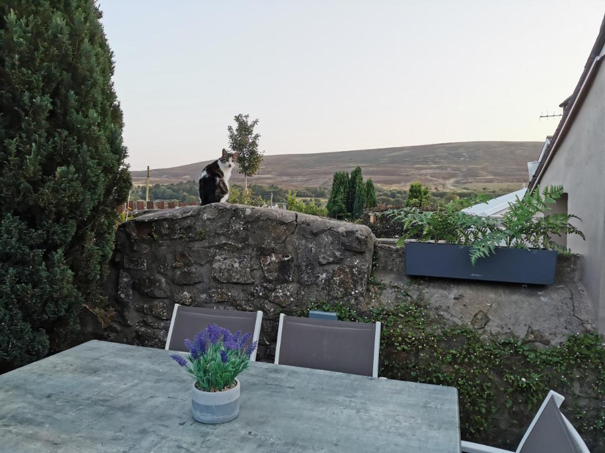 Ex-Miners Cottage, Blaenavon, Near Abergavenny Exterior foto